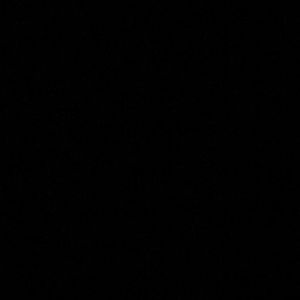 Meet your Posher, Eva